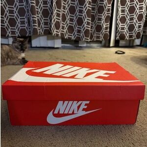 Size 13 - Nike Dunk High Black White